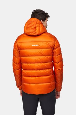 Taiss IN Hooded Donsjas Heren