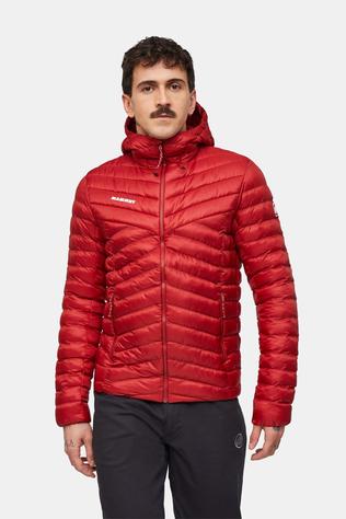 Albula In Hooded Isolatiejas