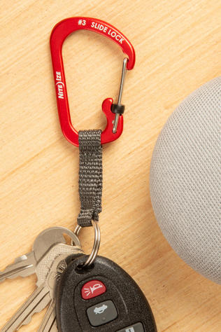 Carabiner Slidelock Keyring #3