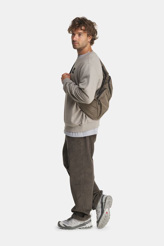 The North Face Box Half Dome Regular Crewneck Trui Heren Beige