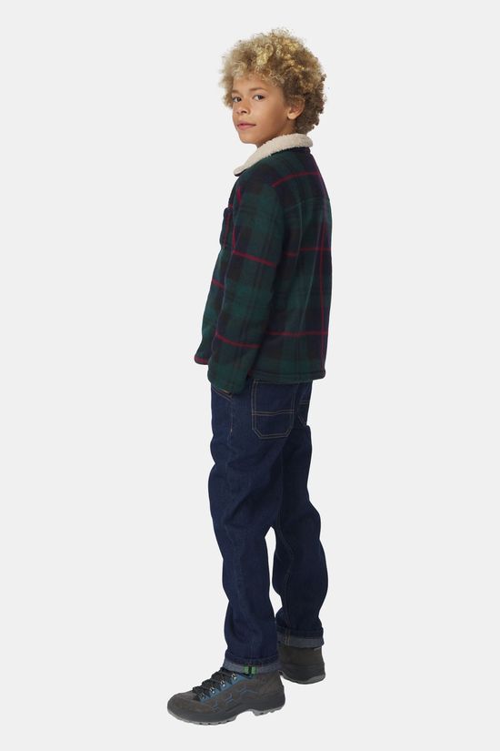 Ayacucho Albert Overshirt Kind Green/Checks