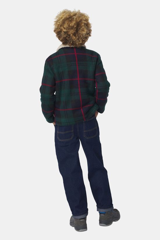 Ayacucho Albert Overshirt Kind Green/Checks