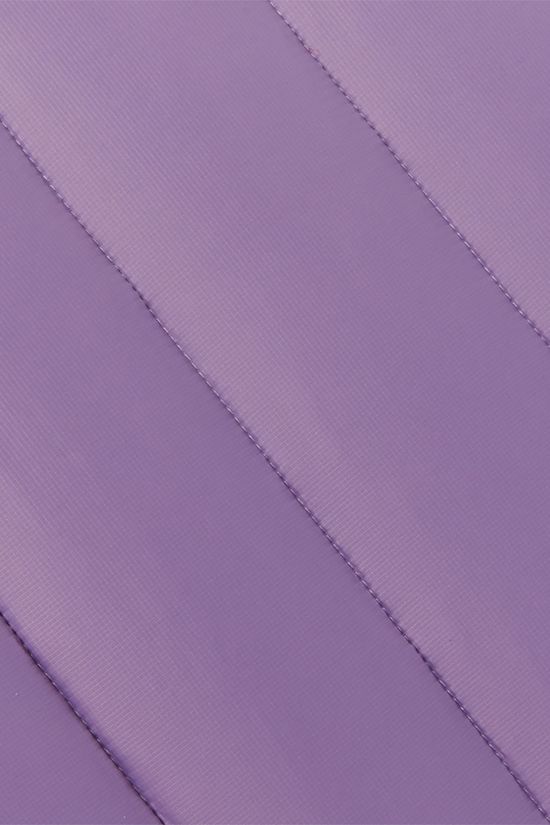 Mammut Crag IN Gewatteerde Jas Dames Violet