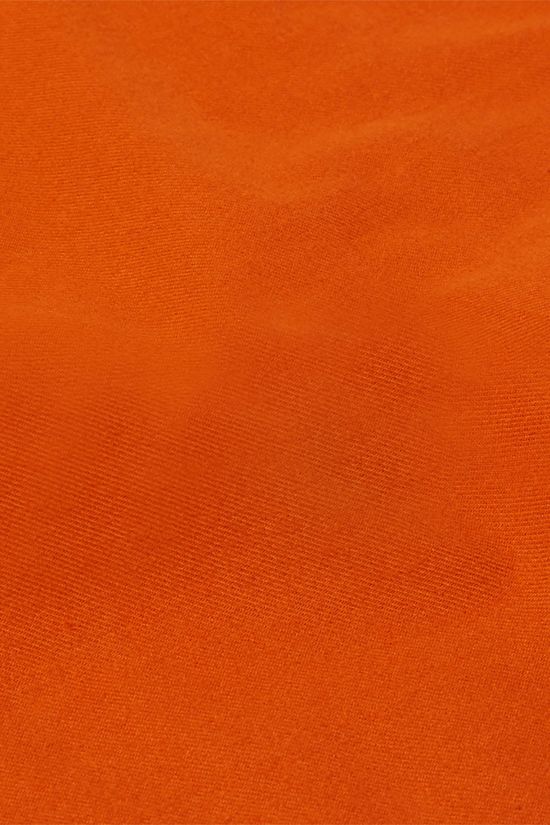 Mammut Alvra Plain Longsleeve Shirt Heren rust