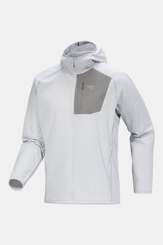 Arc'teryx Delta Hoody Fleectrui light grey