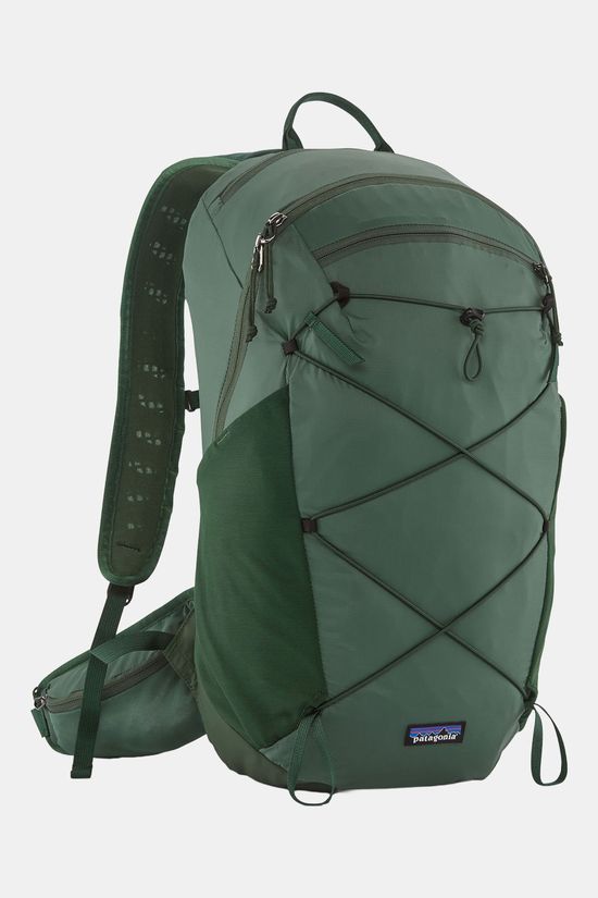 Patagonia Terravia Pack 22L Rugzak green