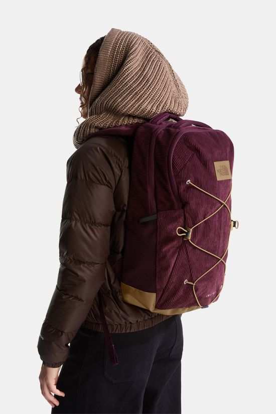 The North Face Jester Pro Rugzak Bordeaux / Maroon/Brown