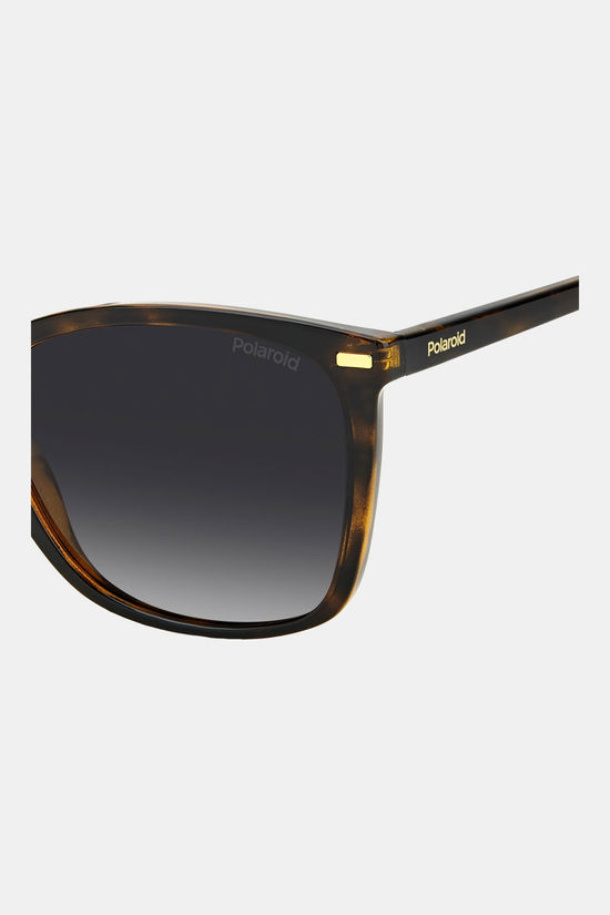 Polaroid Eyewear 4108/S Zonnebril Dames brown