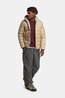 Jack Wolfskin Wild Pass Hoody Donsjas Heren Sand Brown