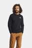 The North Face M Evolution Box Nse Regular Long Sleeve Shirt black