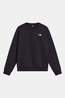 The North Face Evolution Simple Dome Regular Trui Heren black