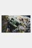 Nocs Provisons Pro Issue 8X42 Verrekijker dark green